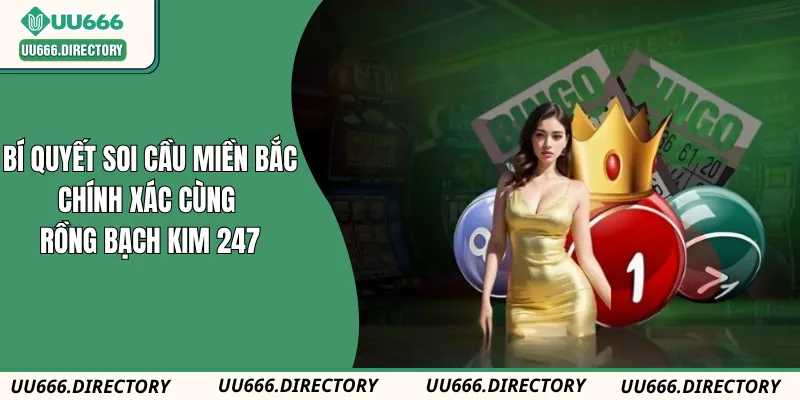 Bí Quyết Soi Cầu Miền Bắc Chính Xác Cùng Rồng Bạch Kim 247