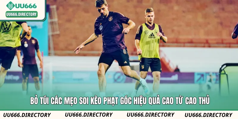 Bỏ túi các mẹo soi kèo phạt góc hiệu quả cao từ cao thủ