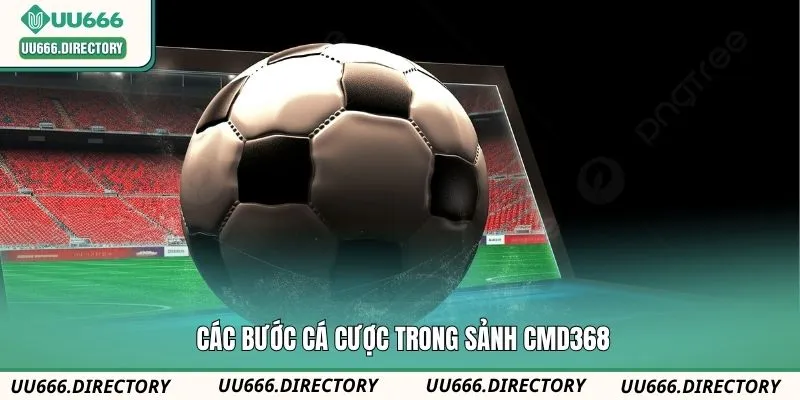 3 bước chinh phục sảnh cược CMD368 thể thao
