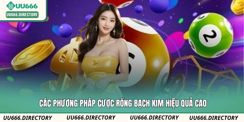 Các phương pháp cược rồng bạch kim hiệu quả cao